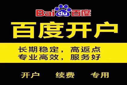 百度优化推广案例：案例分析及优化建议
